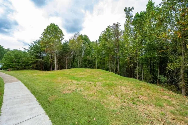 a view of a backyard with green space