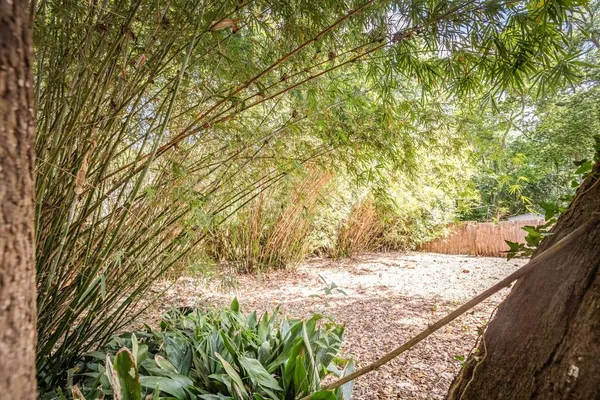 $600,000 | 510 East 7th Avenue, Tallahassee, FL 32303
