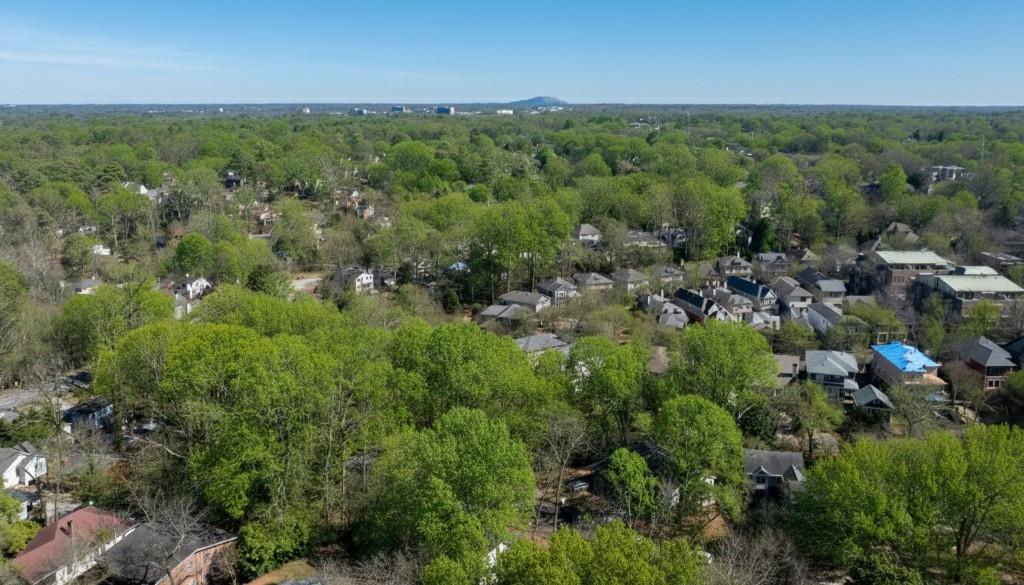 342 Mathews Avenue Northeast, Unit A Atlanta, GA 30307 - Photo 33 of 34 an aerial view of a houses with a yard
