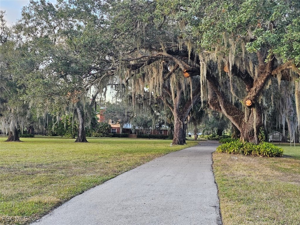 3680 Fort Denaud Road LaBelle, FL 33935 - Photo 3 of 49 a view of a park with large trees