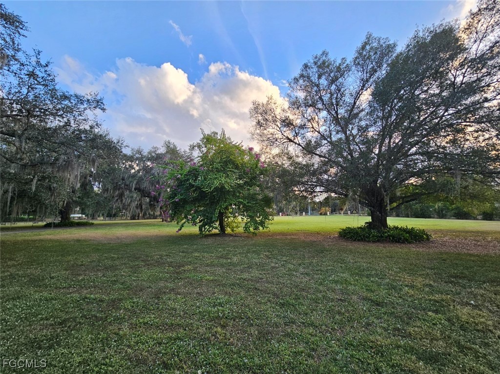 3680 Fort Denaud Road LaBelle, FL 33935 - Photo 9 of 49 a view of outdoor space with green field and trees all around