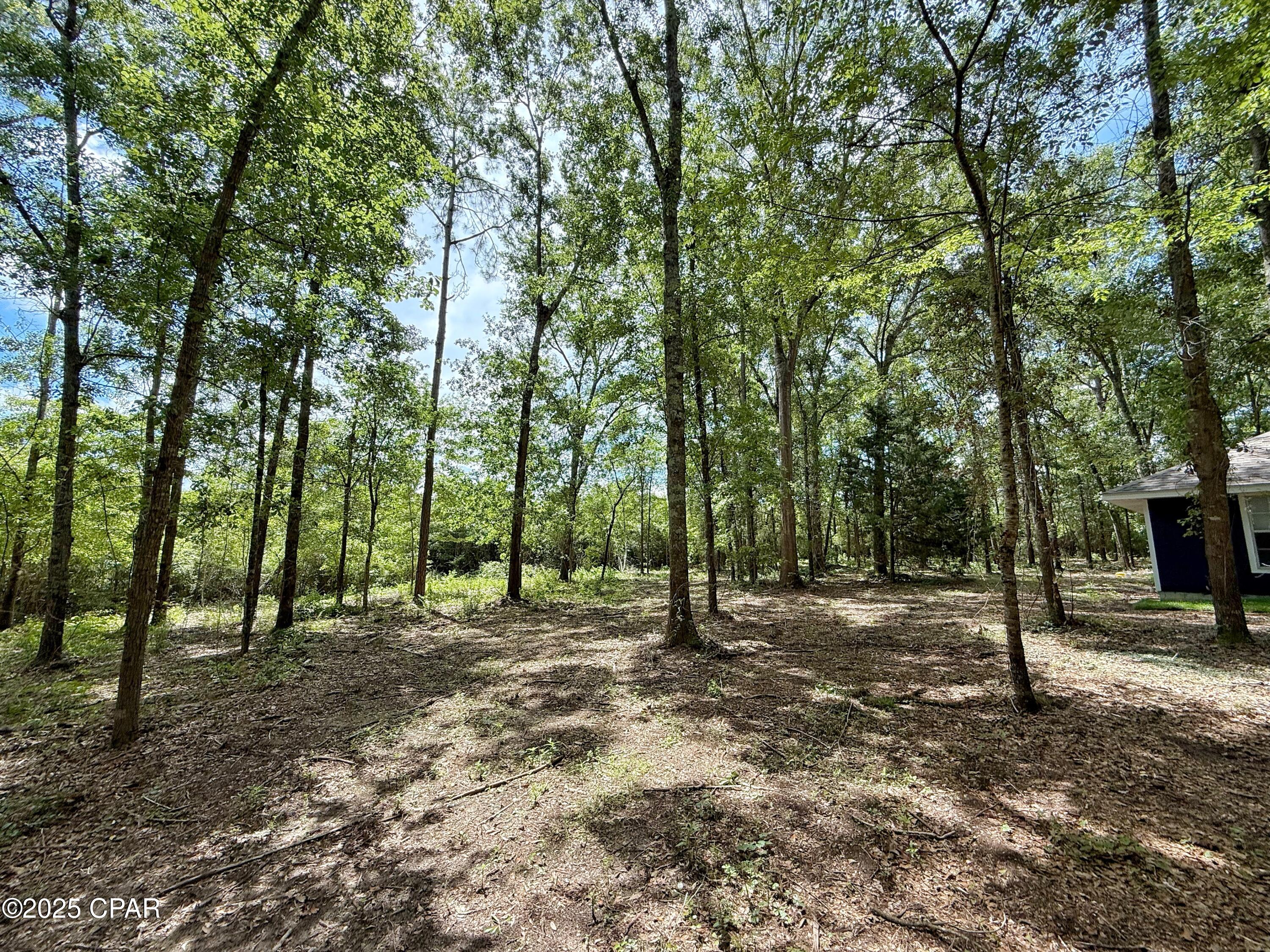 4734 Cliff Road Graceville, FL 32440 - Photo 35 of 39