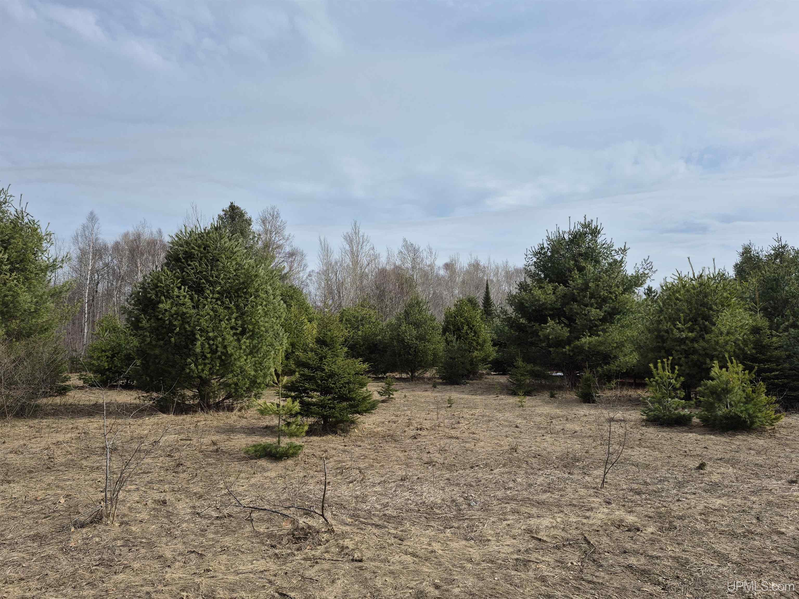 3754 Quarry Road Gulliver, MI 49840 - Photo 10 of 77