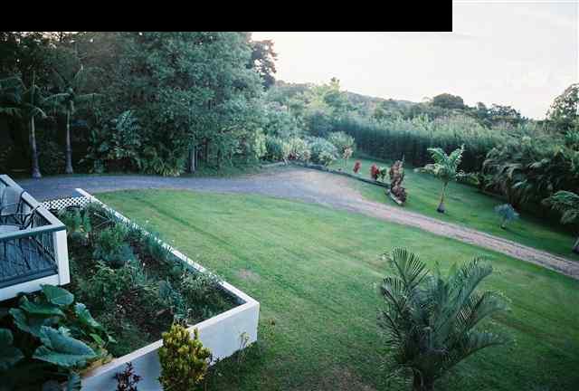 646 Awalau Road Haiku, HI 96708 - Photo 16 of 28 a view of a back yard