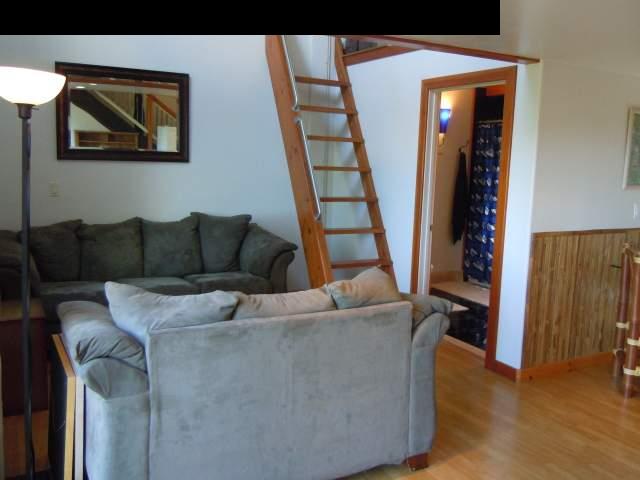 646 Awalau Road Haiku, HI 96708 - Photo 19 of 28 a living room with furniture and wooden floor