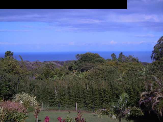 646 Awalau Road Haiku, HI 96708 - Photo 10 of 28 a view of a city