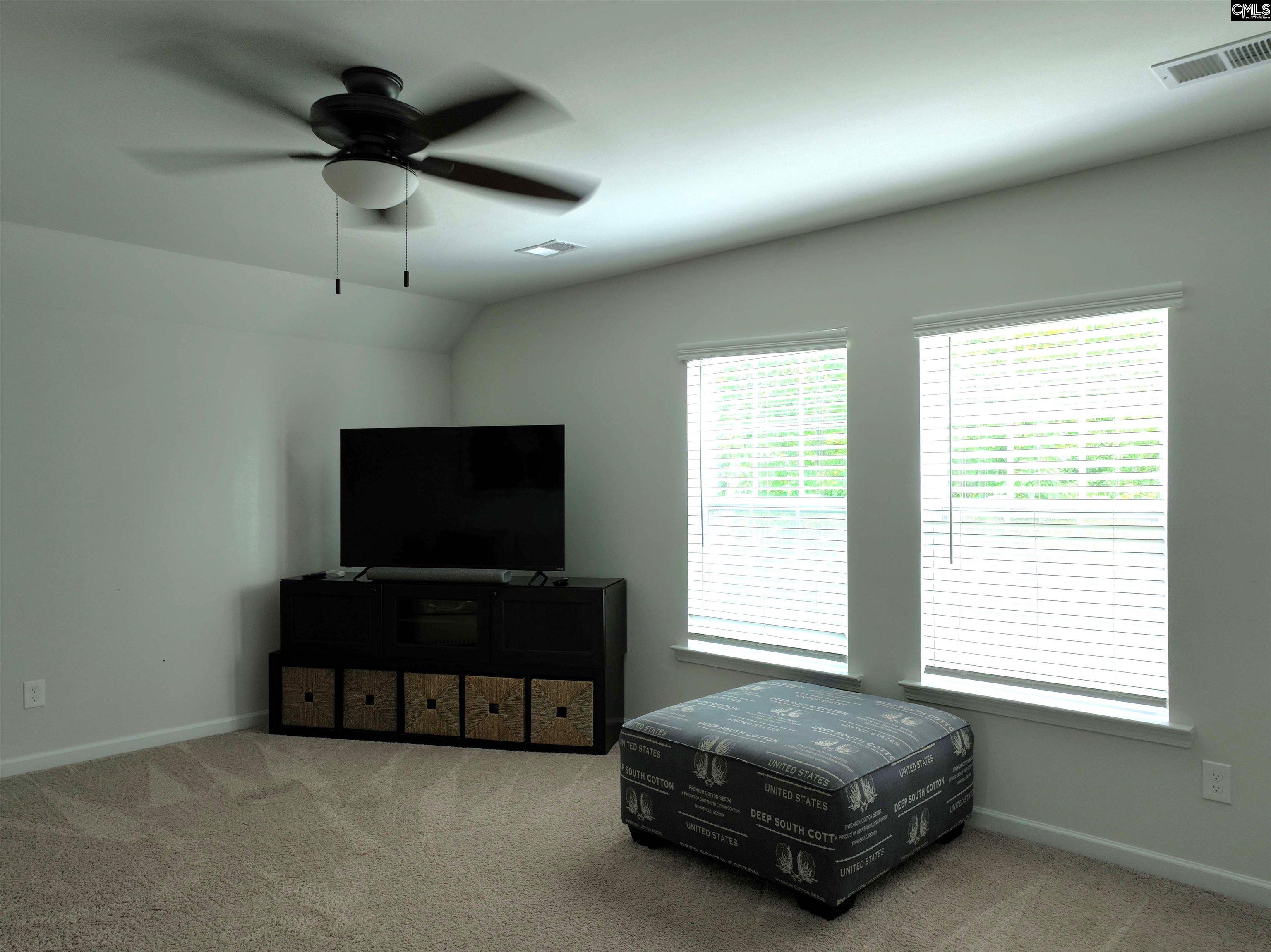 343 Limestone Road Chapin, SC 29036 - Photo 22 of 31