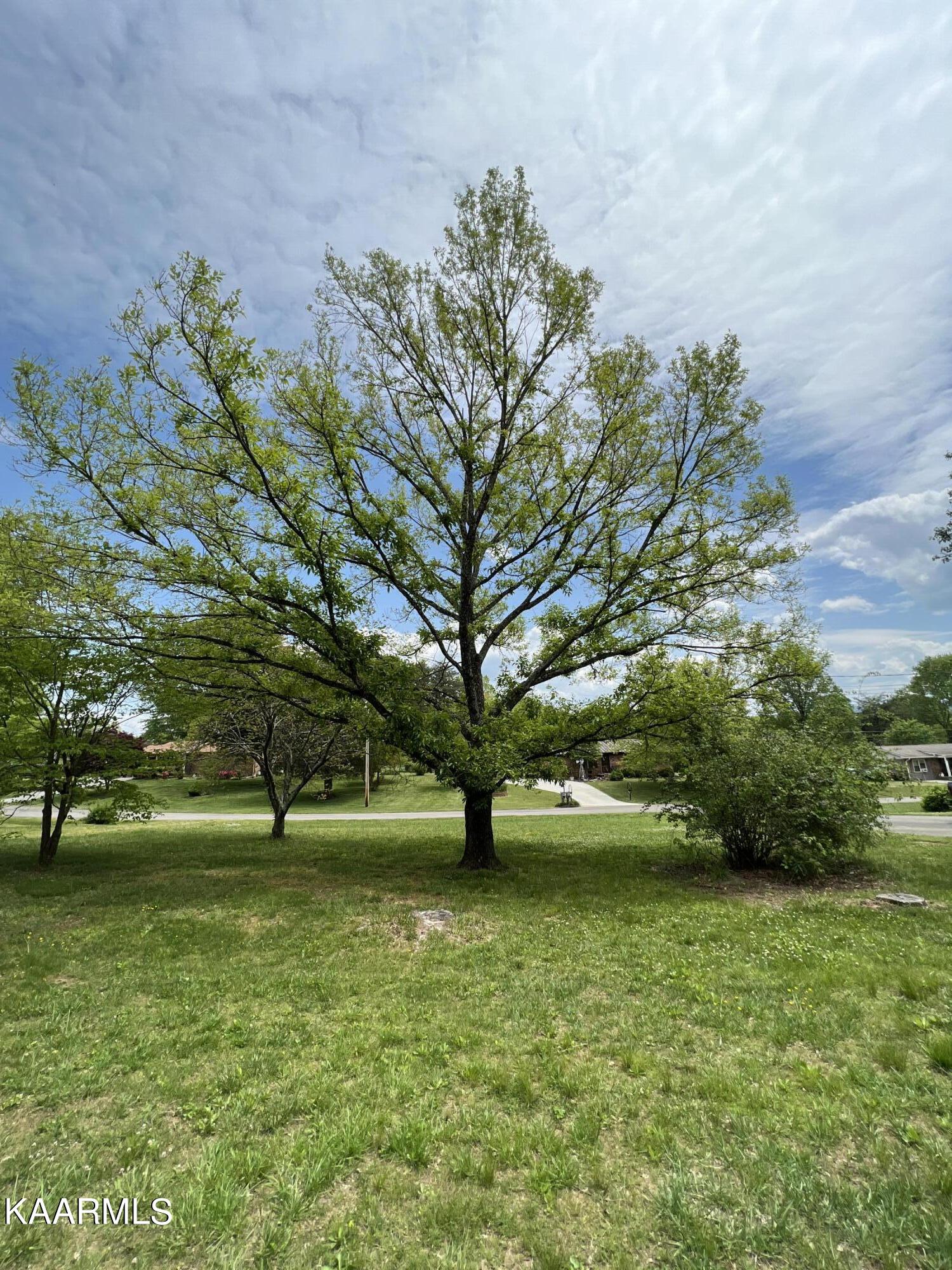 231 Duke Road Maryville, TN 37803 - Photo 19 of 20 5D7862C4-59B7-4D11-8F4C-D3628A3B4A87