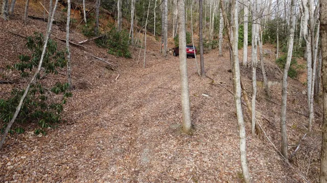$300,000 | 0 Lookout Ter Road, Black Mountain, NC 28711