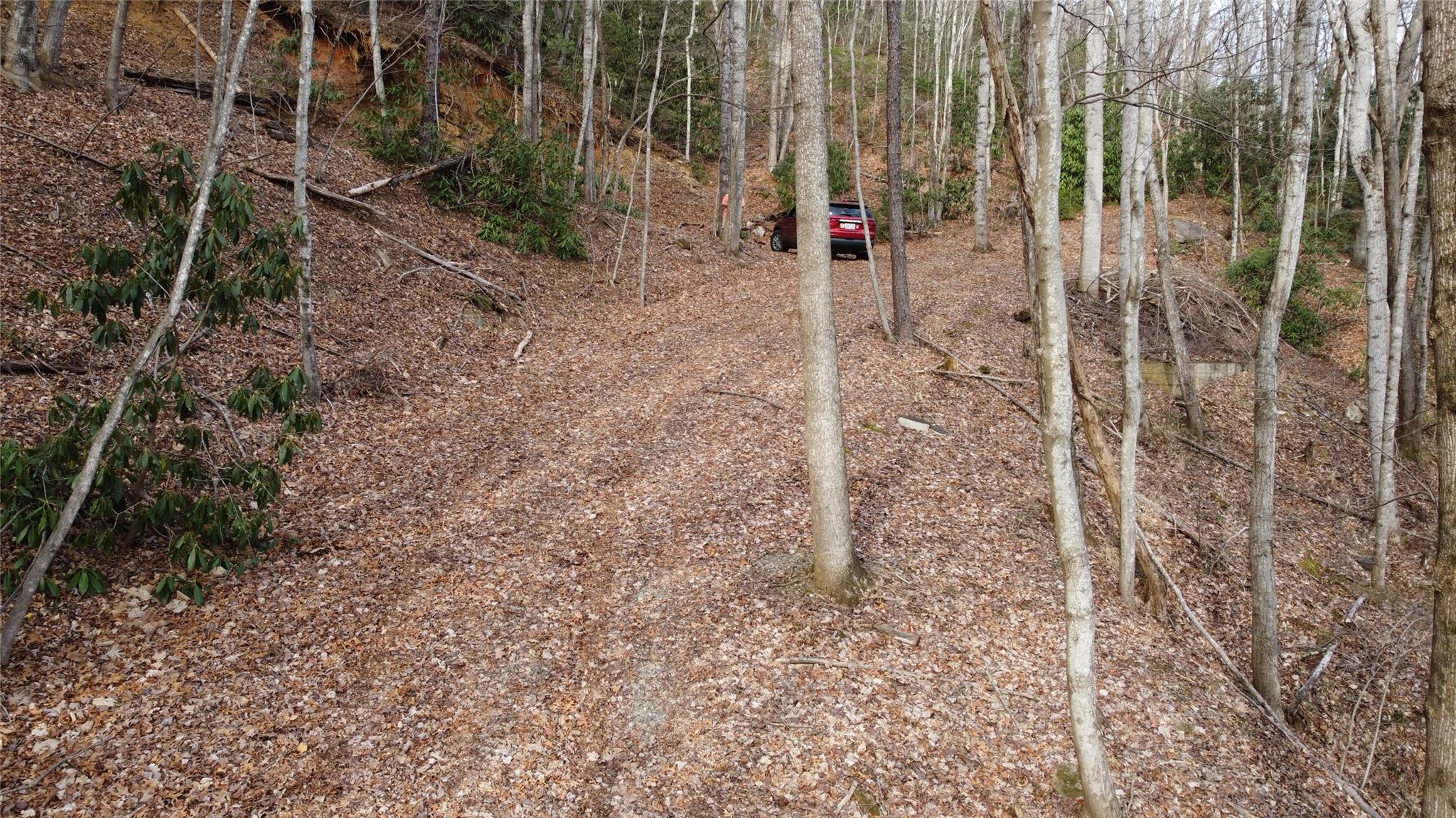 0 Lookout Ter Road Black Mountain, NC 28711 - Photo 11 of 36