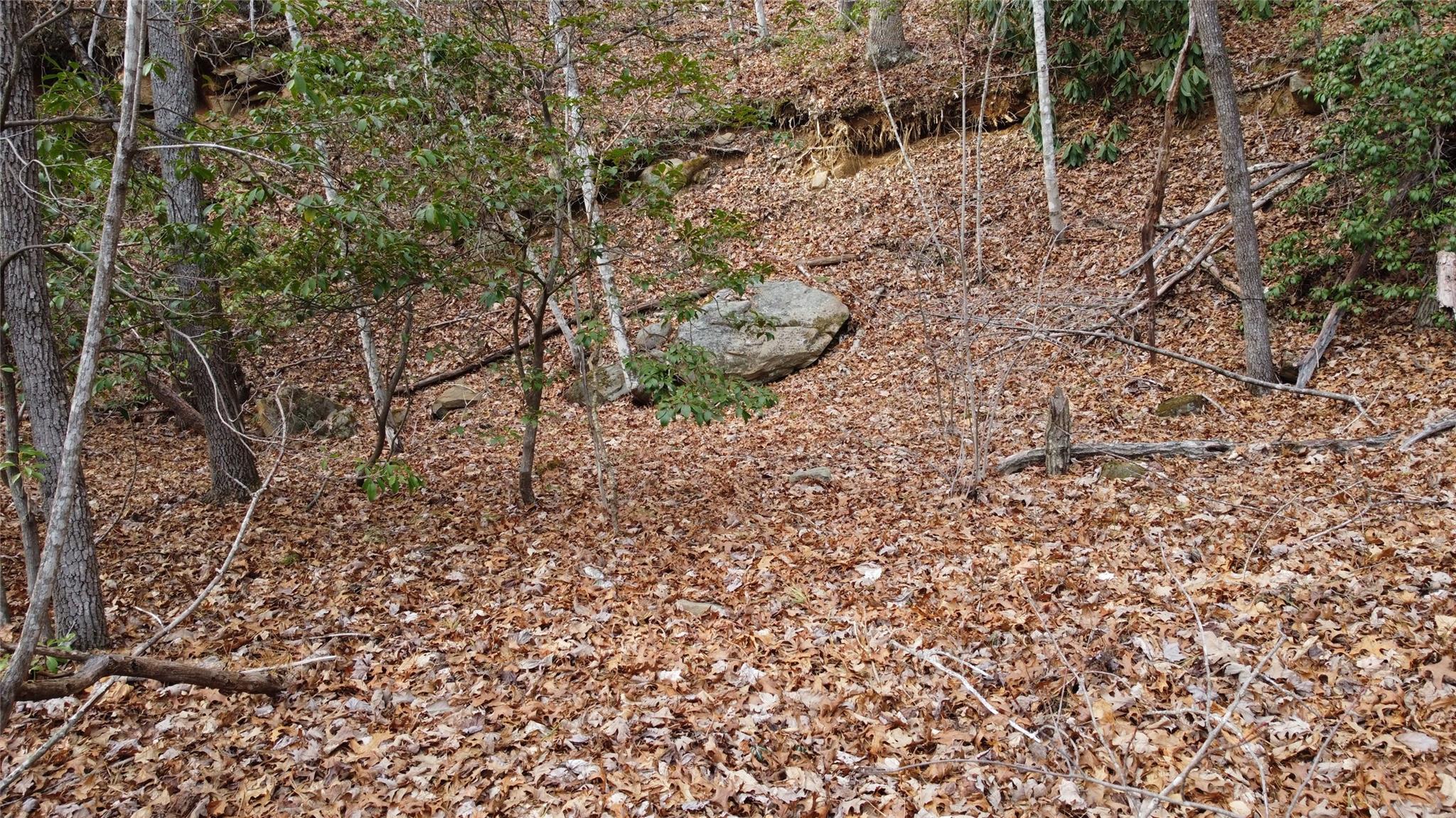0 Lookout Ter Road Black Mountain, NC 28711 - Photo 12 of 36