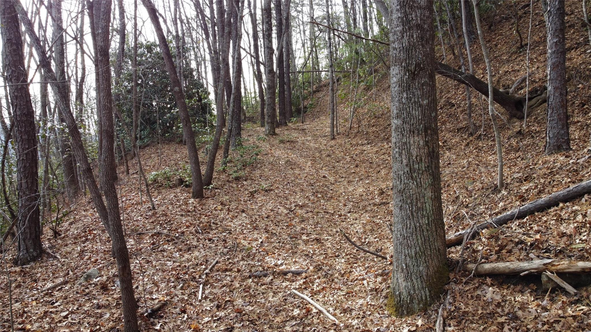 0 Lookout Ter Road Black Mountain, NC 28711 - Photo 13 of 36