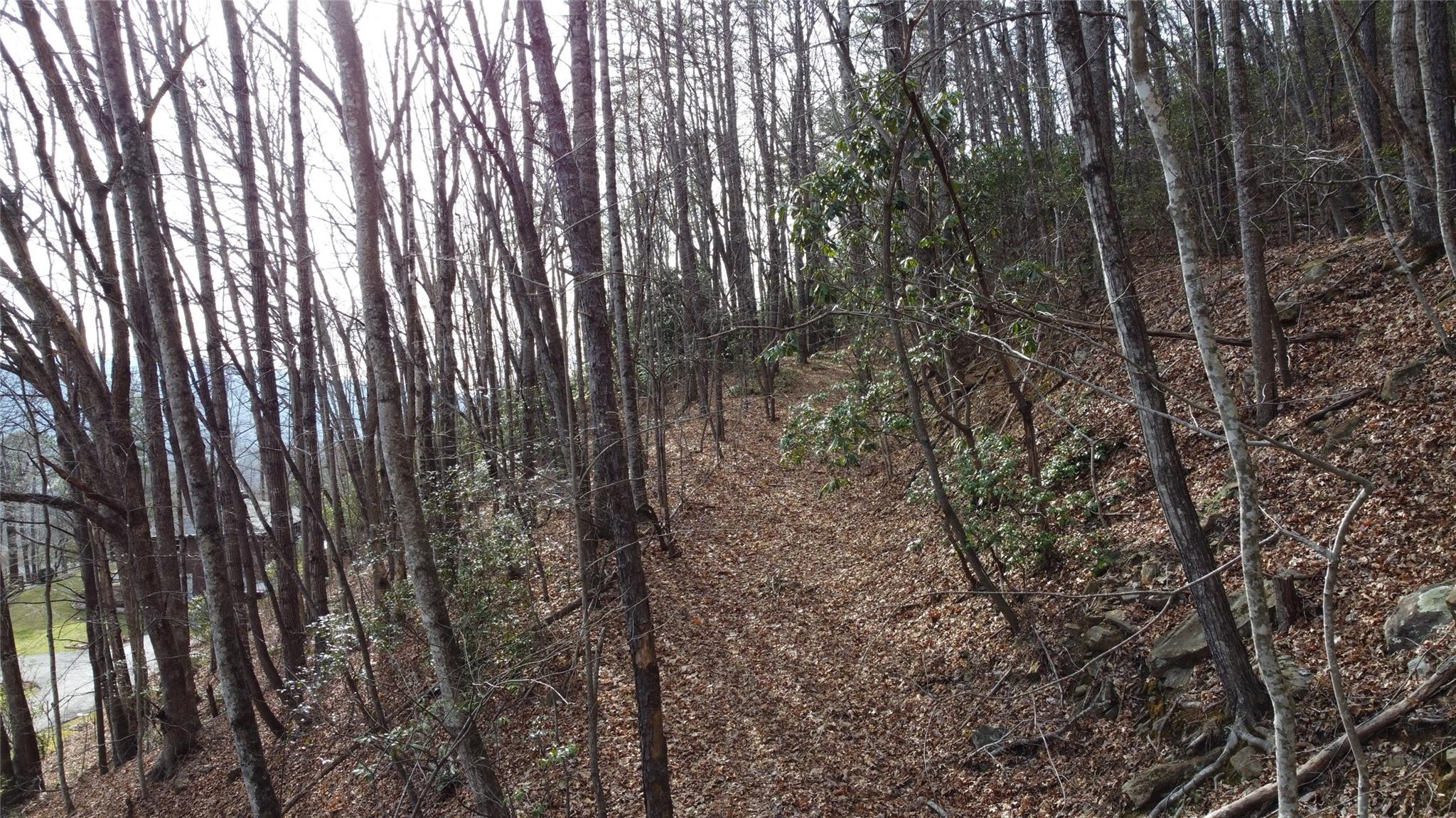 0 Lookout Ter Road Black Mountain, NC 28711 - Photo 14 of 36