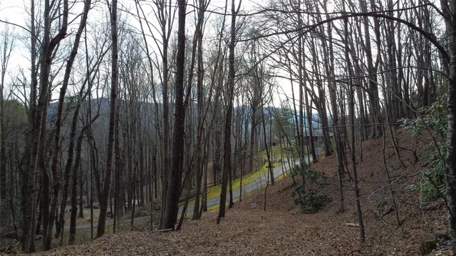 $300,000 | 0 Lookout Ter Road, Black Mountain, NC 28711