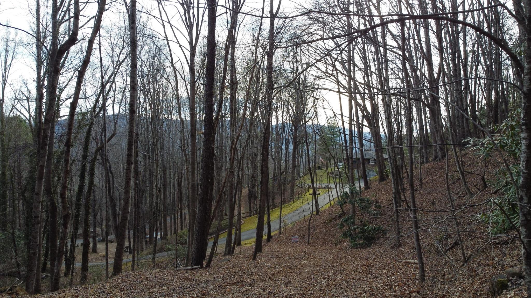 0 Lookout Ter Road Black Mountain, NC 28711 - Photo 15 of 36
