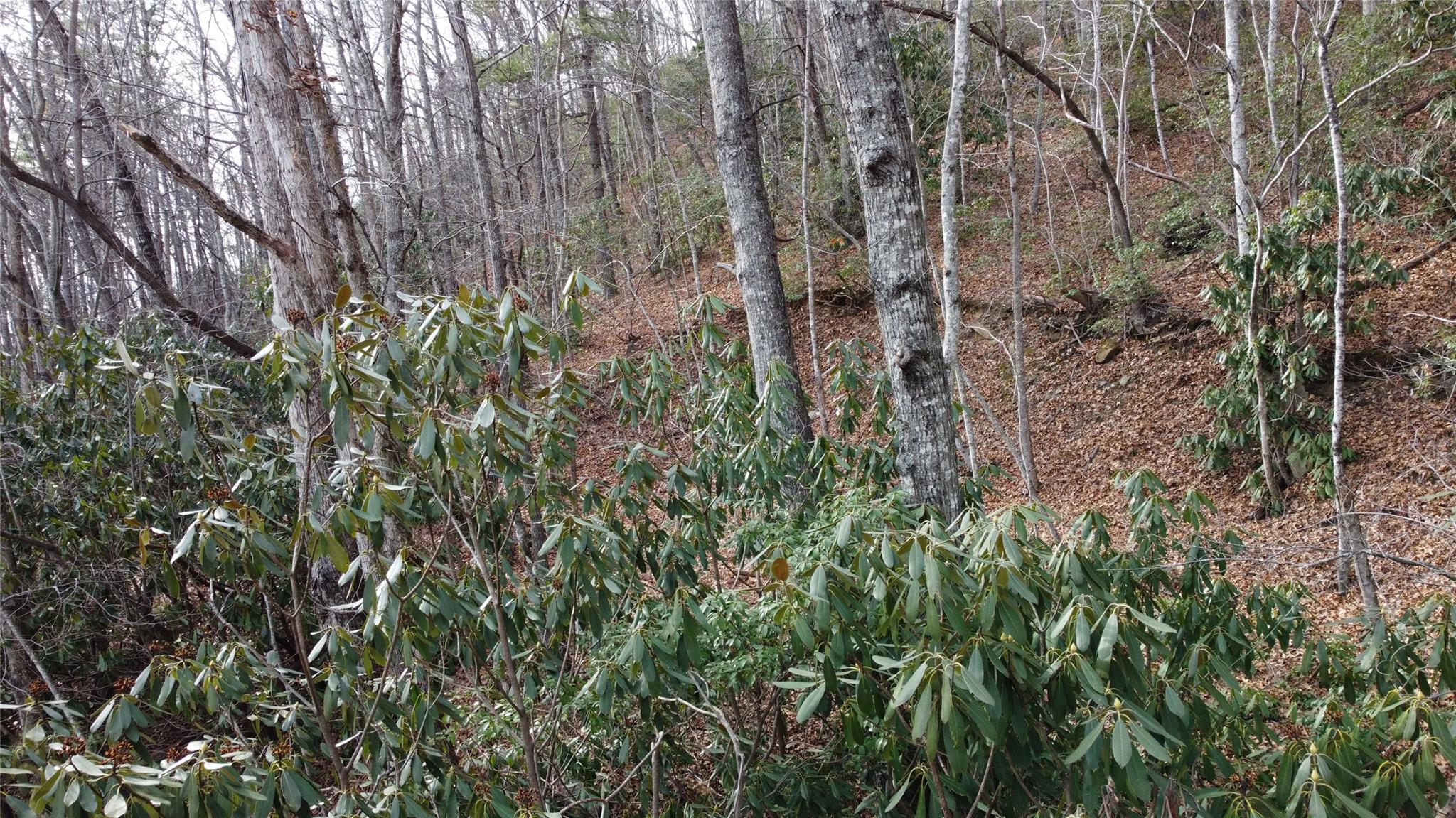 0 Lookout Ter Road Black Mountain, NC 28711 - Photo 16 of 36