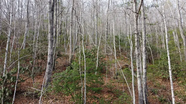 $300,000 | 0 Lookout Ter Road, Black Mountain, NC 28711