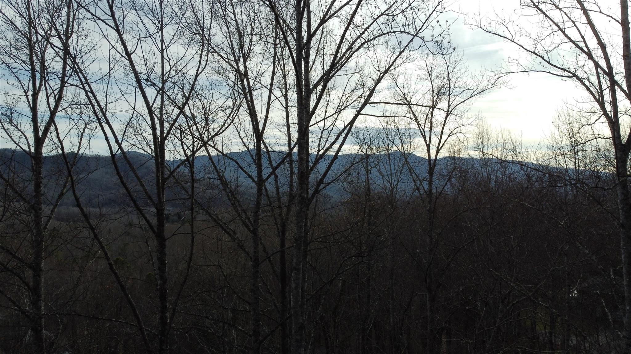 0 Lookout Ter Road Black Mountain, NC 28711 - Photo 18 of 36