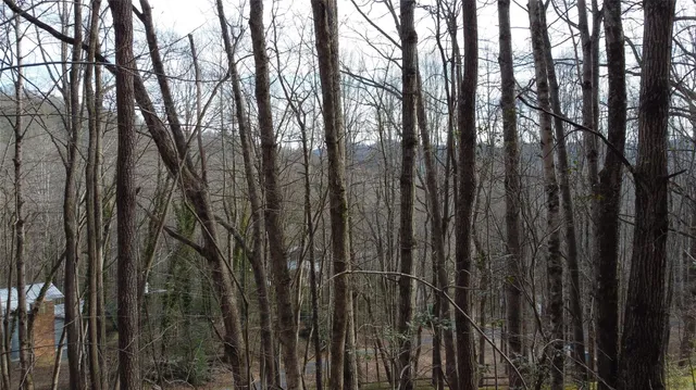 $300,000 | 0 Lookout Ter Road, Black Mountain, NC 28711
