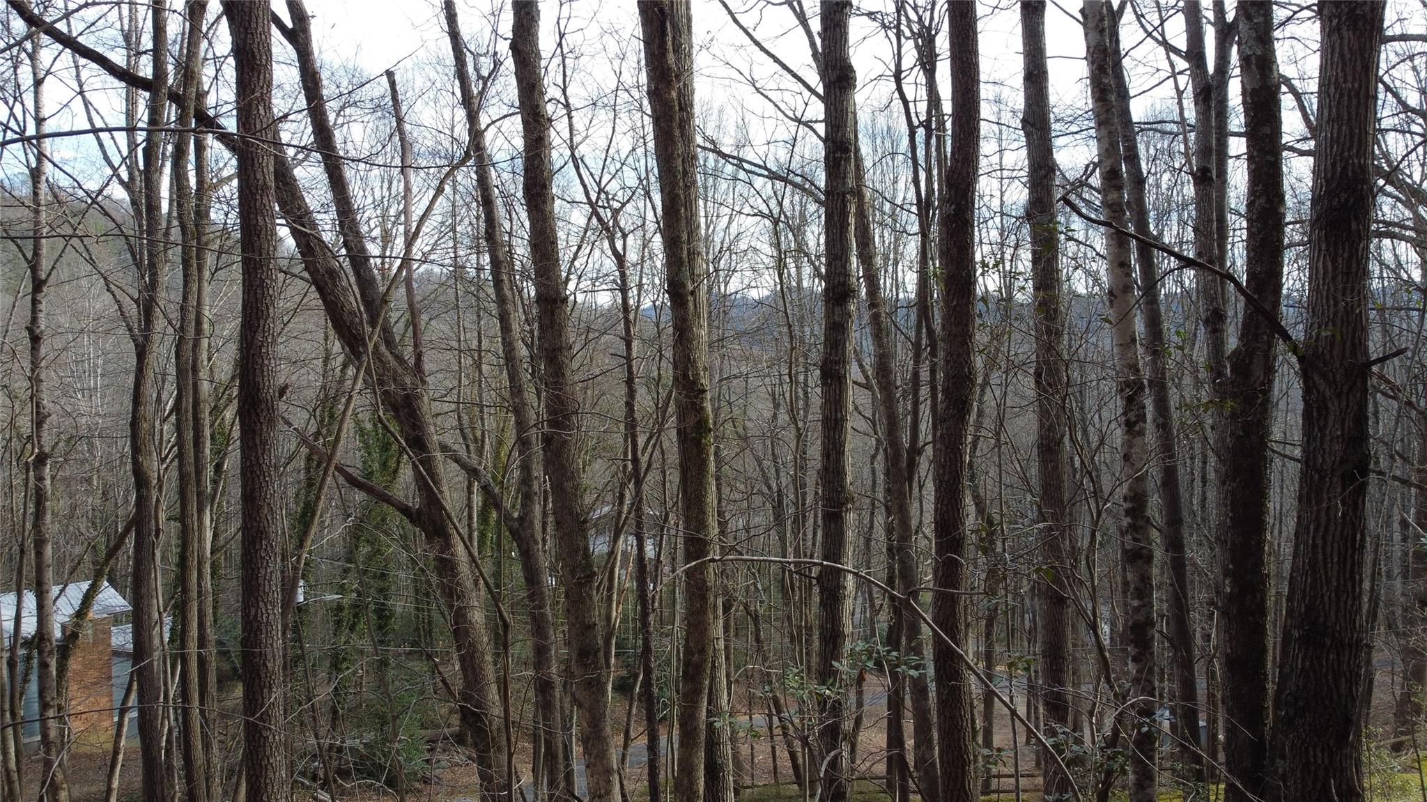 0 Lookout Ter Road Black Mountain, NC 28711 - Photo 19 of 36