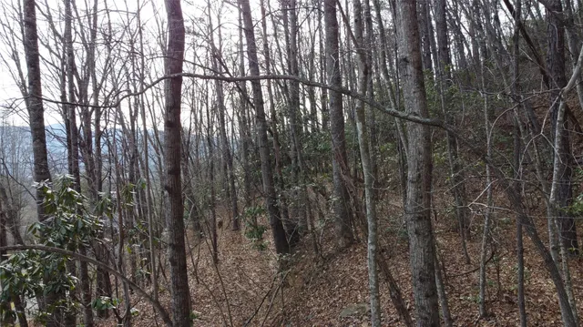 $300,000 | 0 Lookout Ter Road, Black Mountain, NC 28711