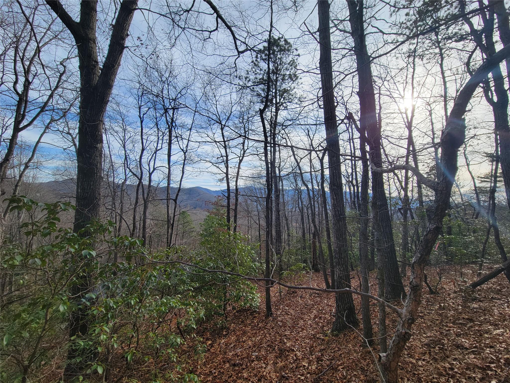 0 Lookout Ter Road Black Mountain, NC 28711 - Photo 2 of 36
