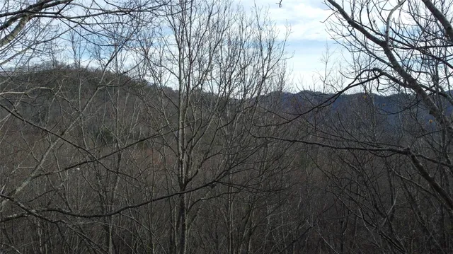 $300,000 | 0 Lookout Ter Road, Black Mountain, NC 28711