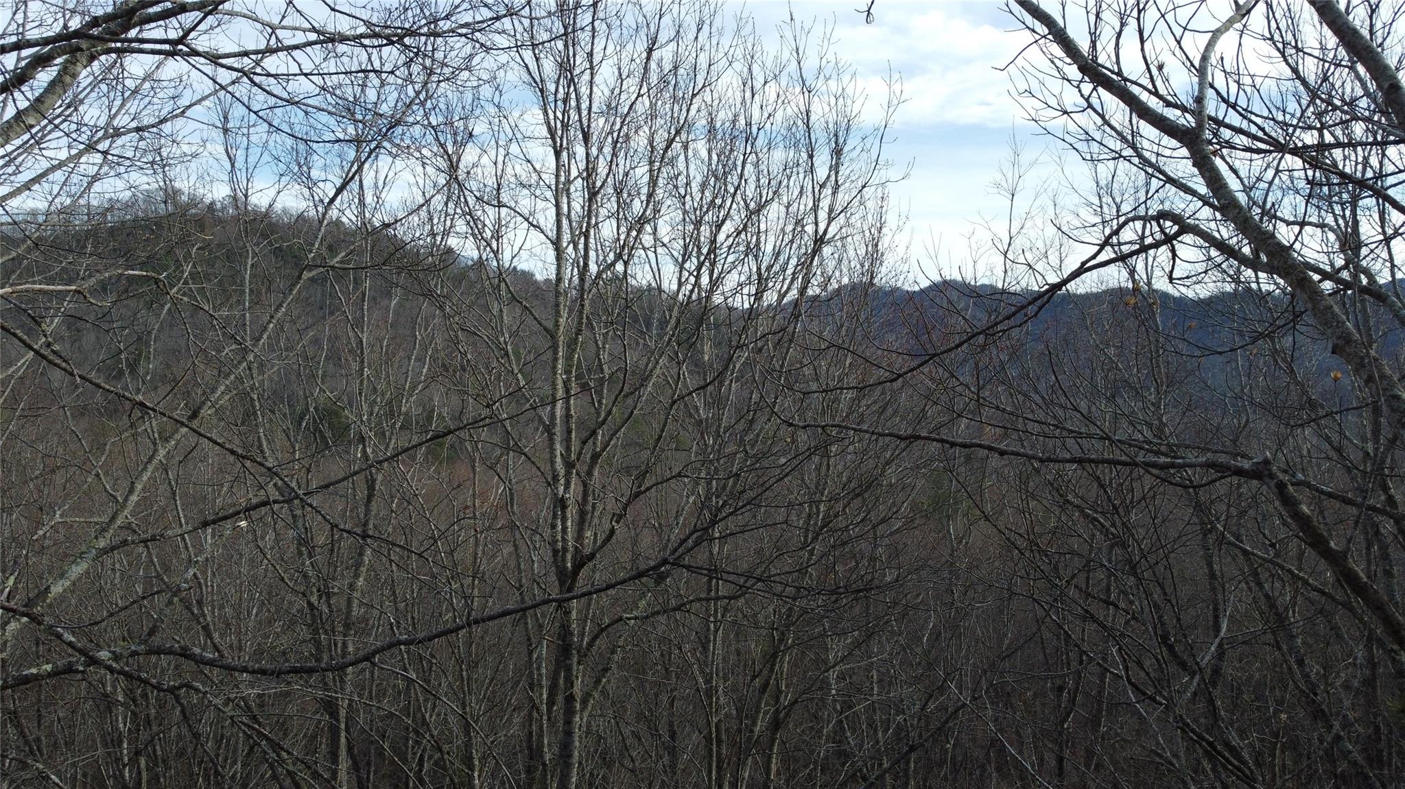 0 Lookout Ter Road Black Mountain, NC 28711 - Photo 21 of 36