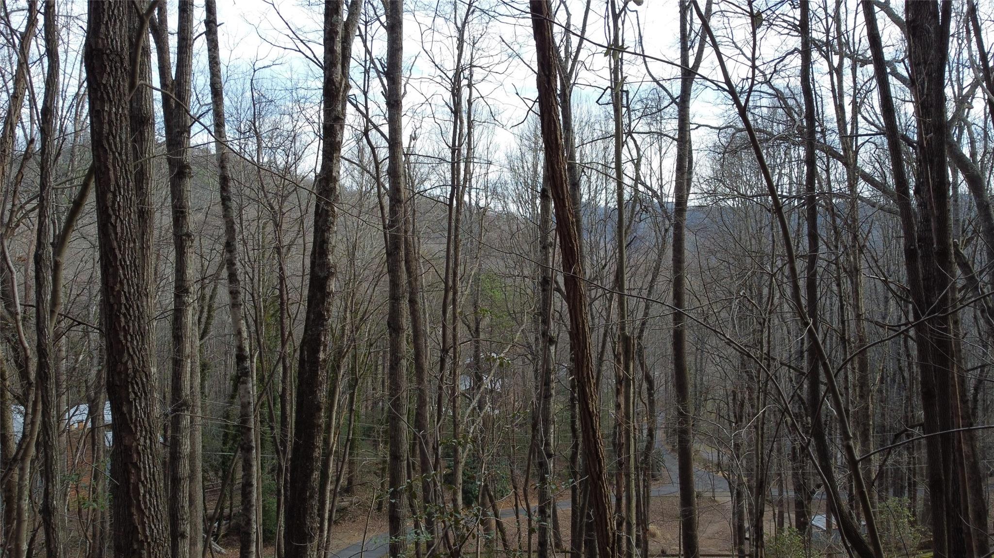 0 Lookout Ter Road Black Mountain, NC 28711 - Photo 22 of 36