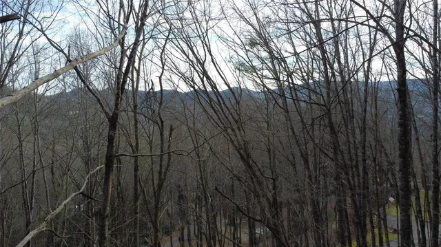 $300,000 | 0 Lookout Ter Road, Black Mountain, NC 28711