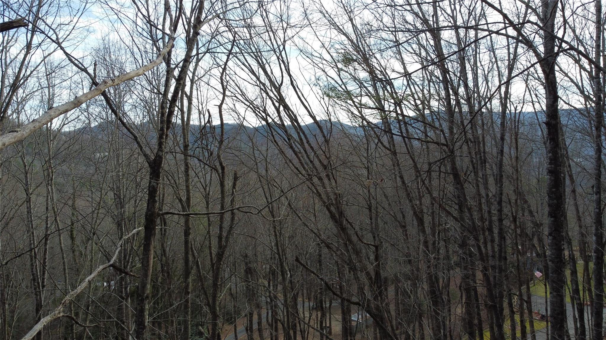 0 Lookout Ter Road Black Mountain, NC 28711 - Photo 23 of 36