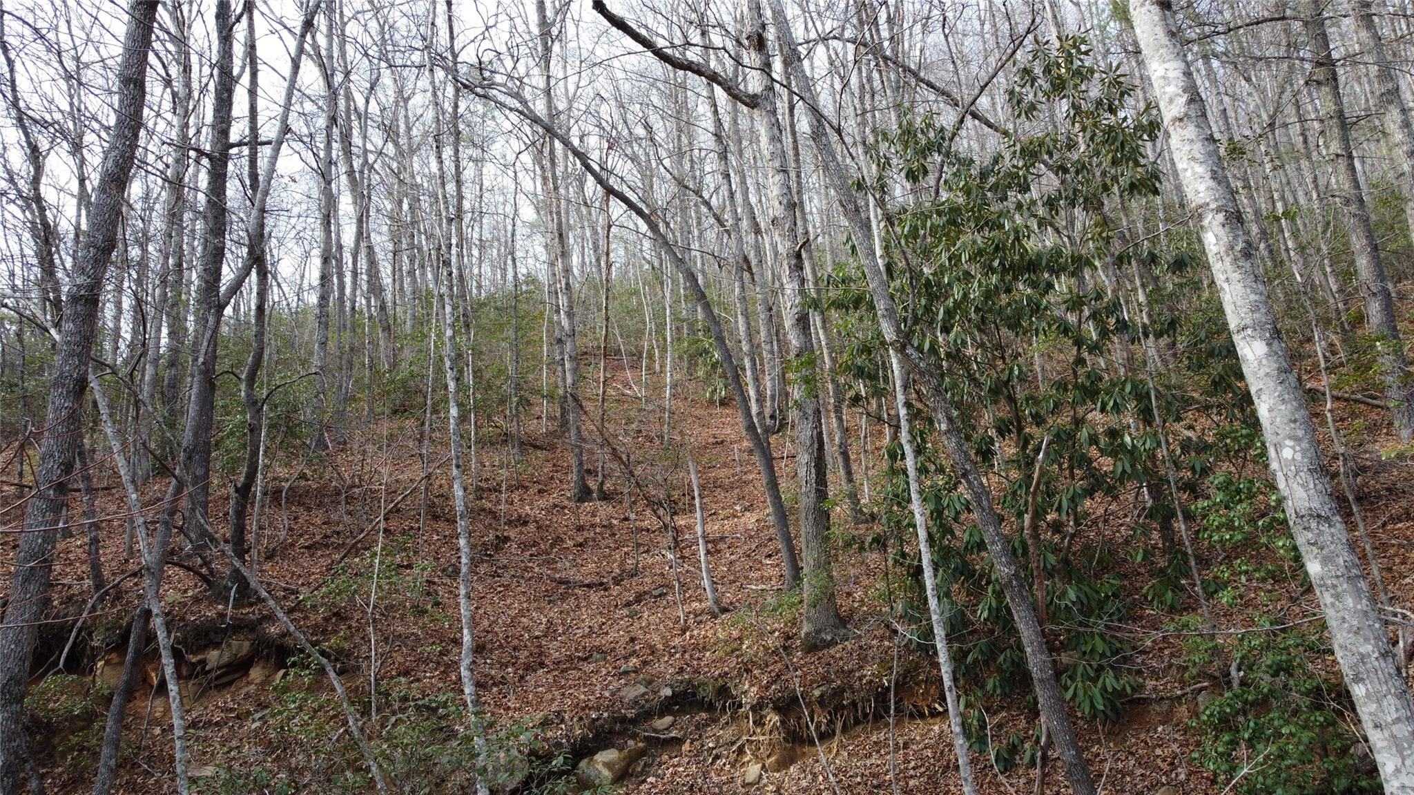 0 Lookout Ter Road Black Mountain, NC 28711 - Photo 24 of 36
