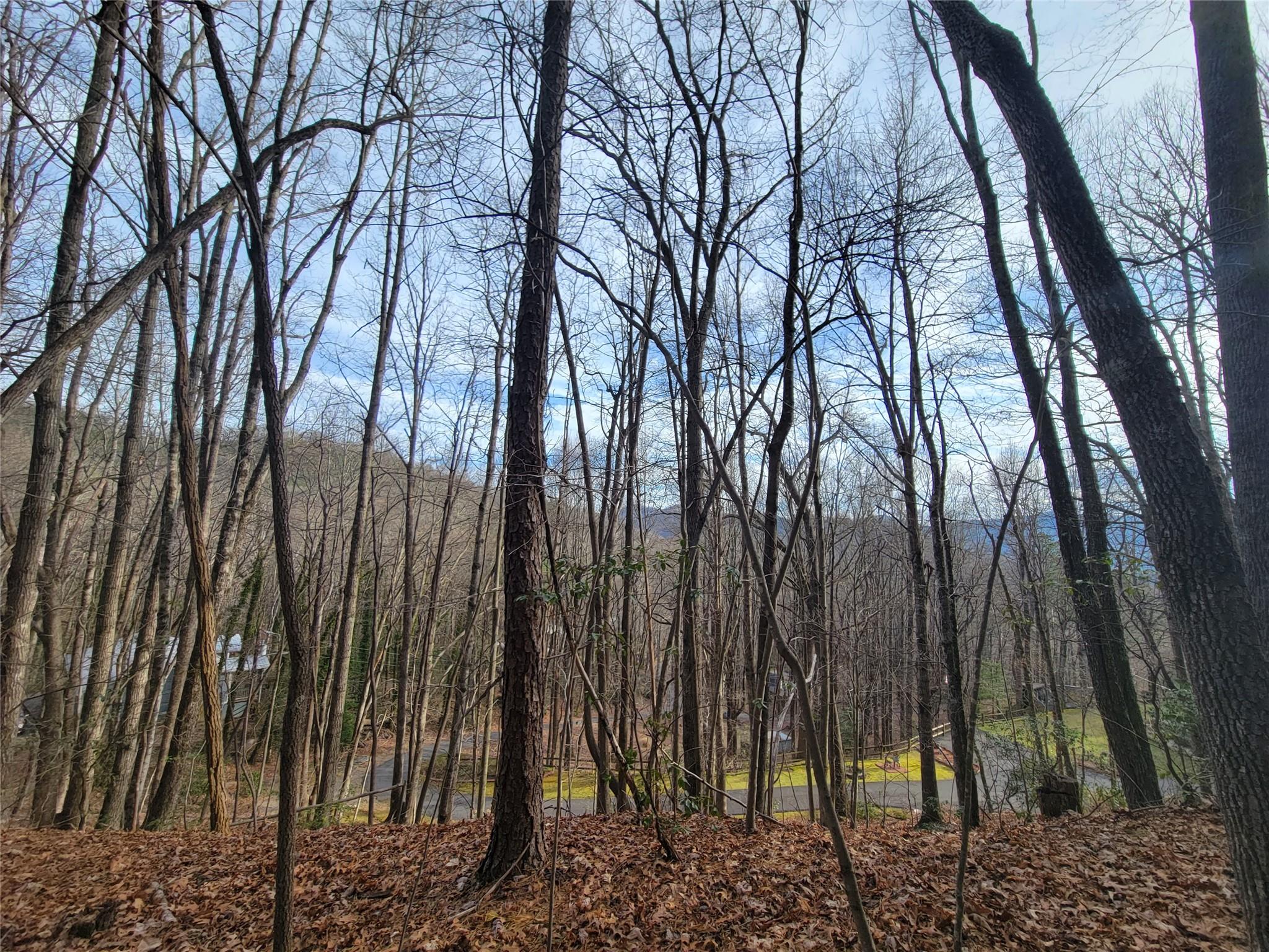 0 Lookout Ter Road Black Mountain, NC 28711 - Photo 25 of 36