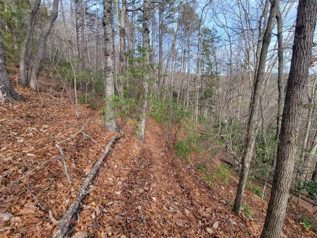 $300,000 | 0 Lookout Ter Road, Black Mountain, NC 28711