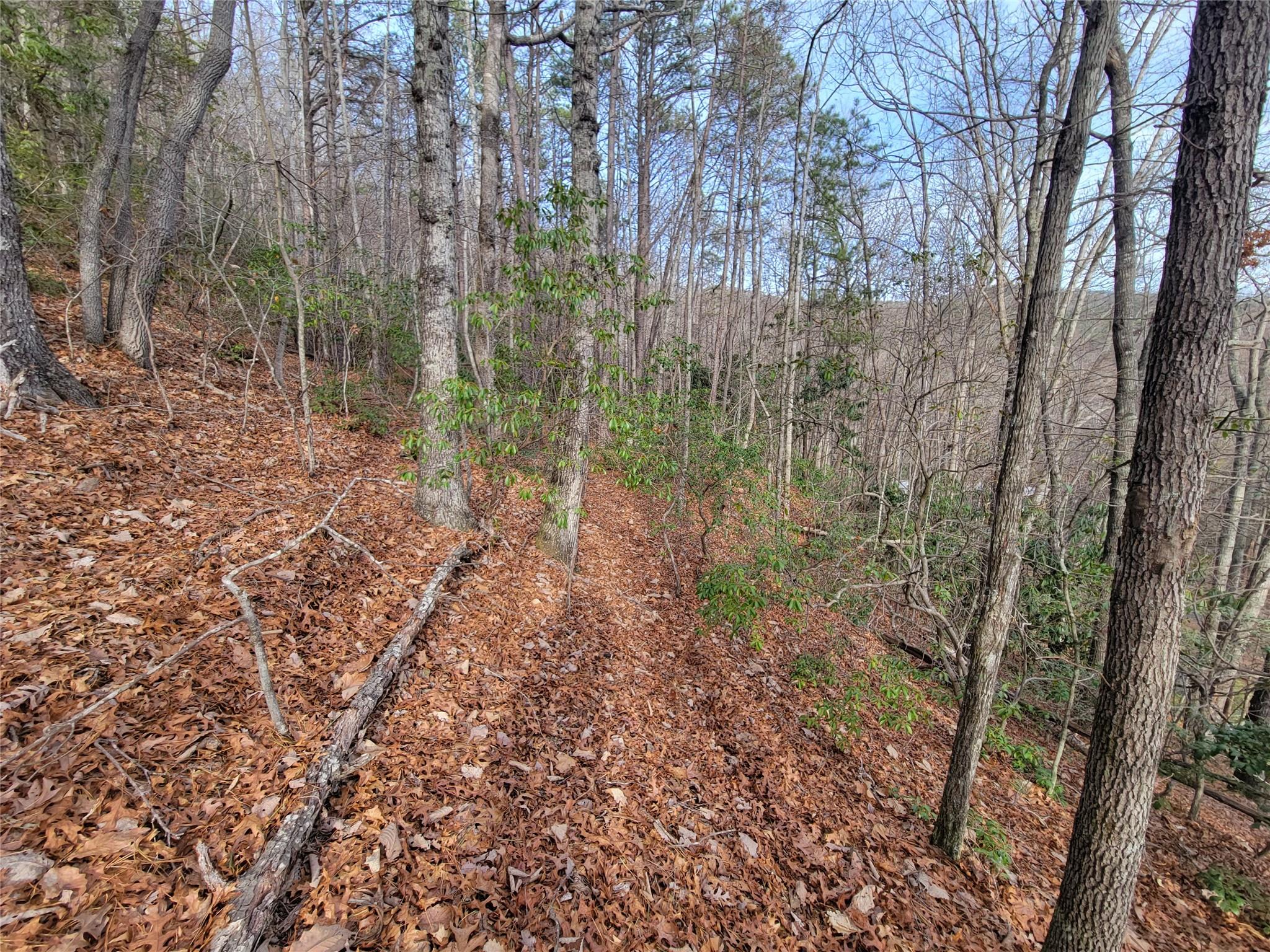 0 Lookout Ter Road Black Mountain, NC 28711 - Photo 26 of 36
