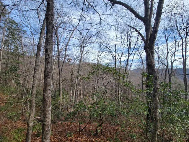 $300,000 | 0 Lookout Ter Road, Black Mountain, NC 28711