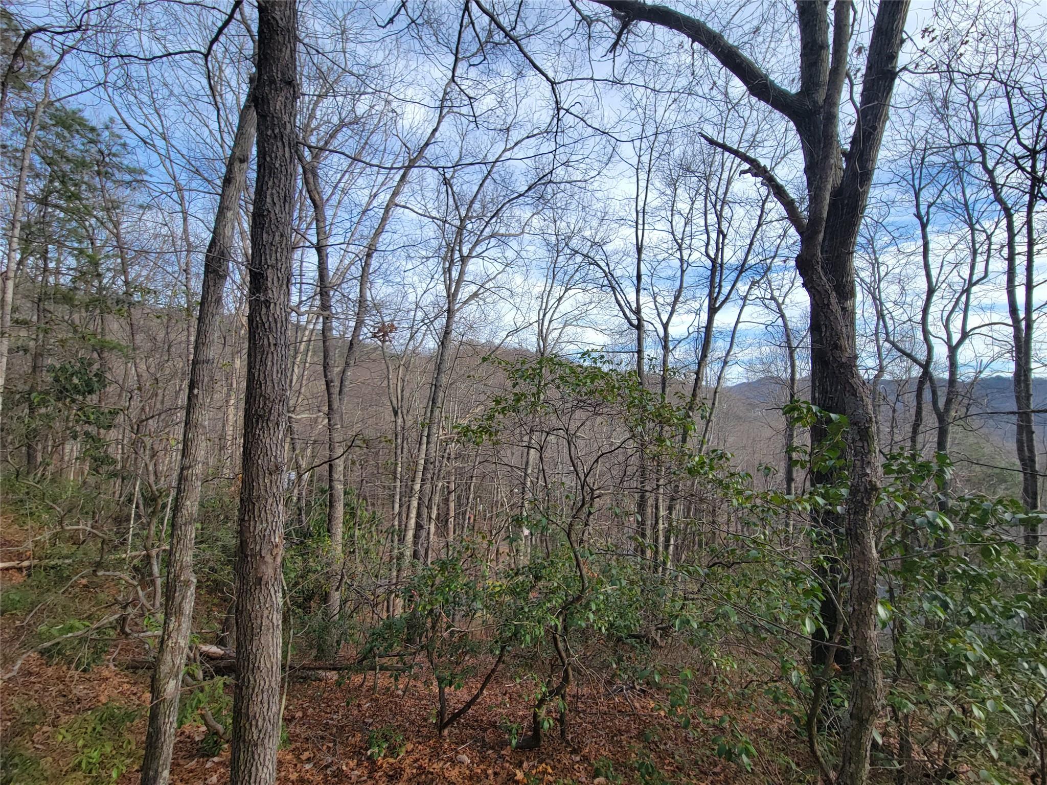 0 Lookout Ter Road Black Mountain, NC 28711 - Photo 27 of 36