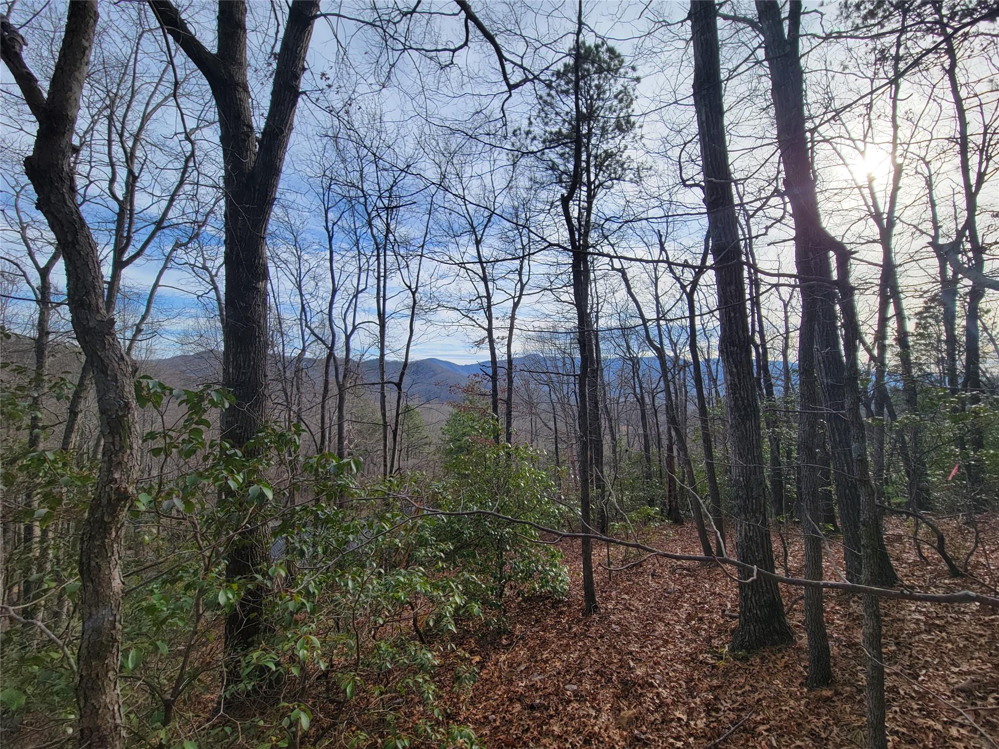 0 Lookout Ter Road Black Mountain, NC 28711 - Photo 28 of 36