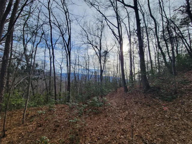 $300,000 | 0 Lookout Ter Road, Black Mountain, NC 28711