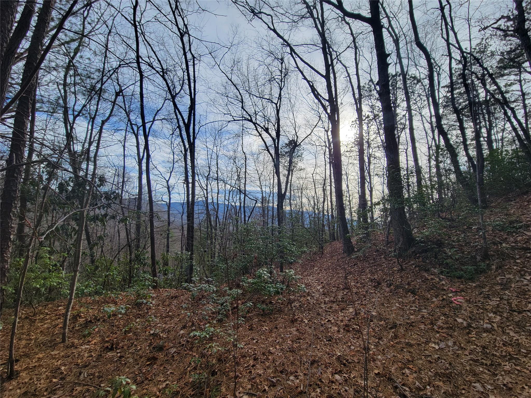 0 Lookout Ter Road Black Mountain, NC 28711 - Photo 29 of 36