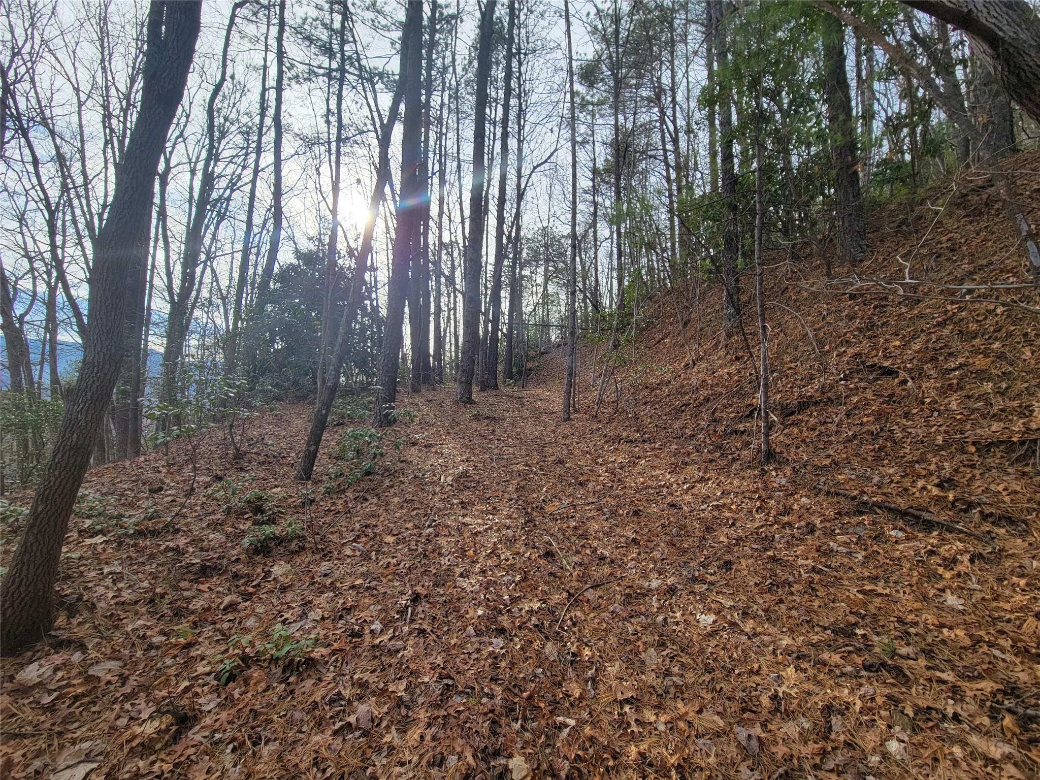 0 Lookout Ter Road Black Mountain, NC 28711 - Photo 30 of 36