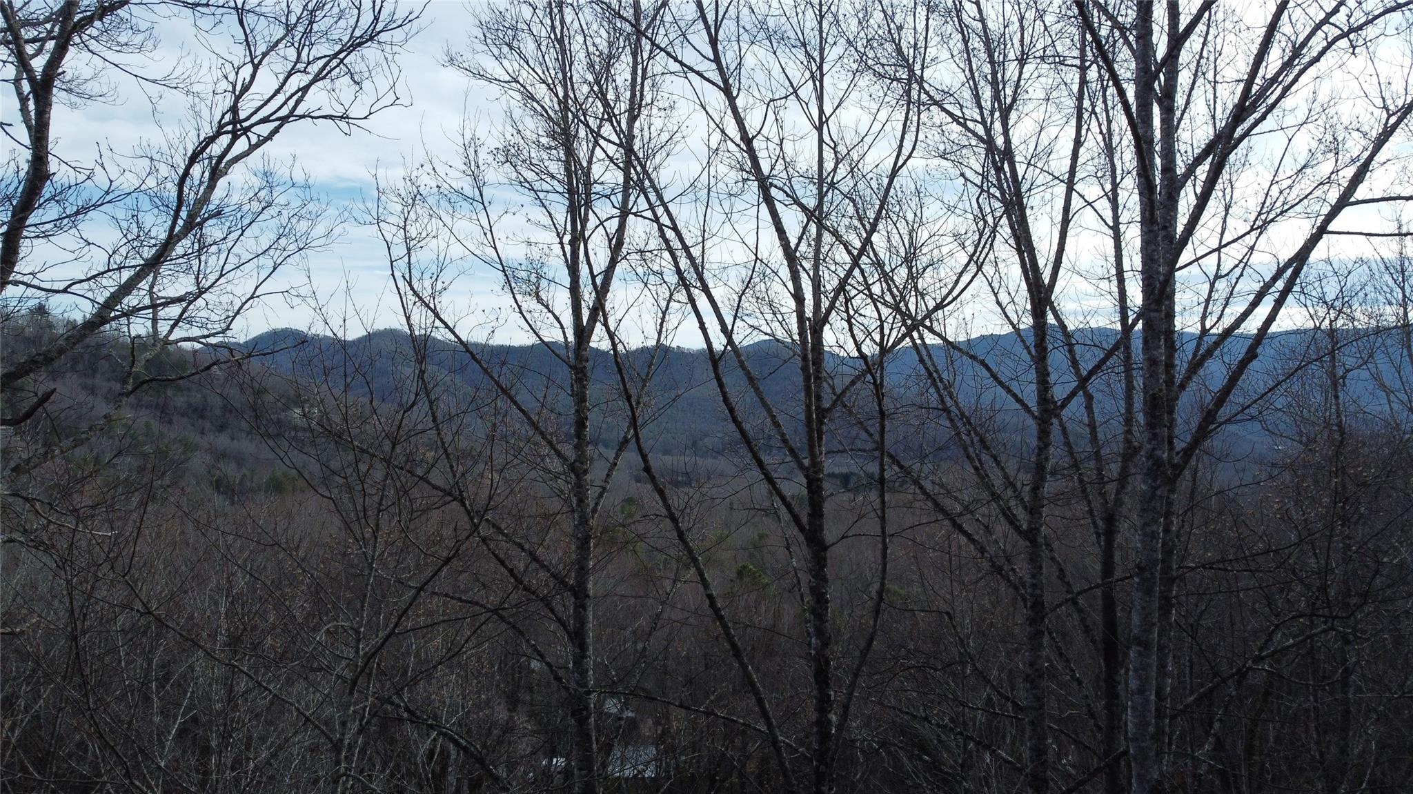 0 Lookout Ter Road Black Mountain, NC 28711 - Photo 3 of 36