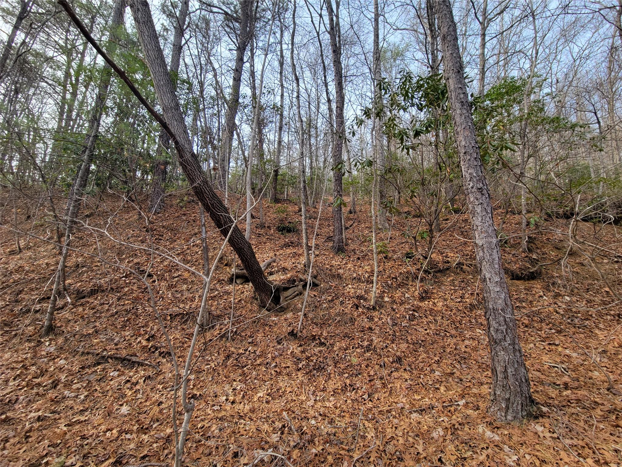 0 Lookout Ter Road Black Mountain, NC 28711 - Photo 31 of 36