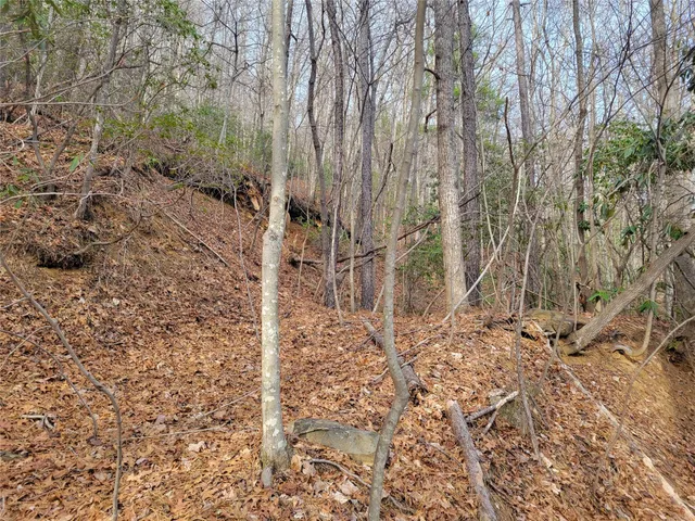 $300,000 | 0 Lookout Ter Road, Black Mountain, NC 28711