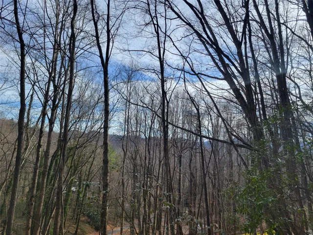 $300,000 | 0 Lookout Ter Road, Black Mountain, NC 28711