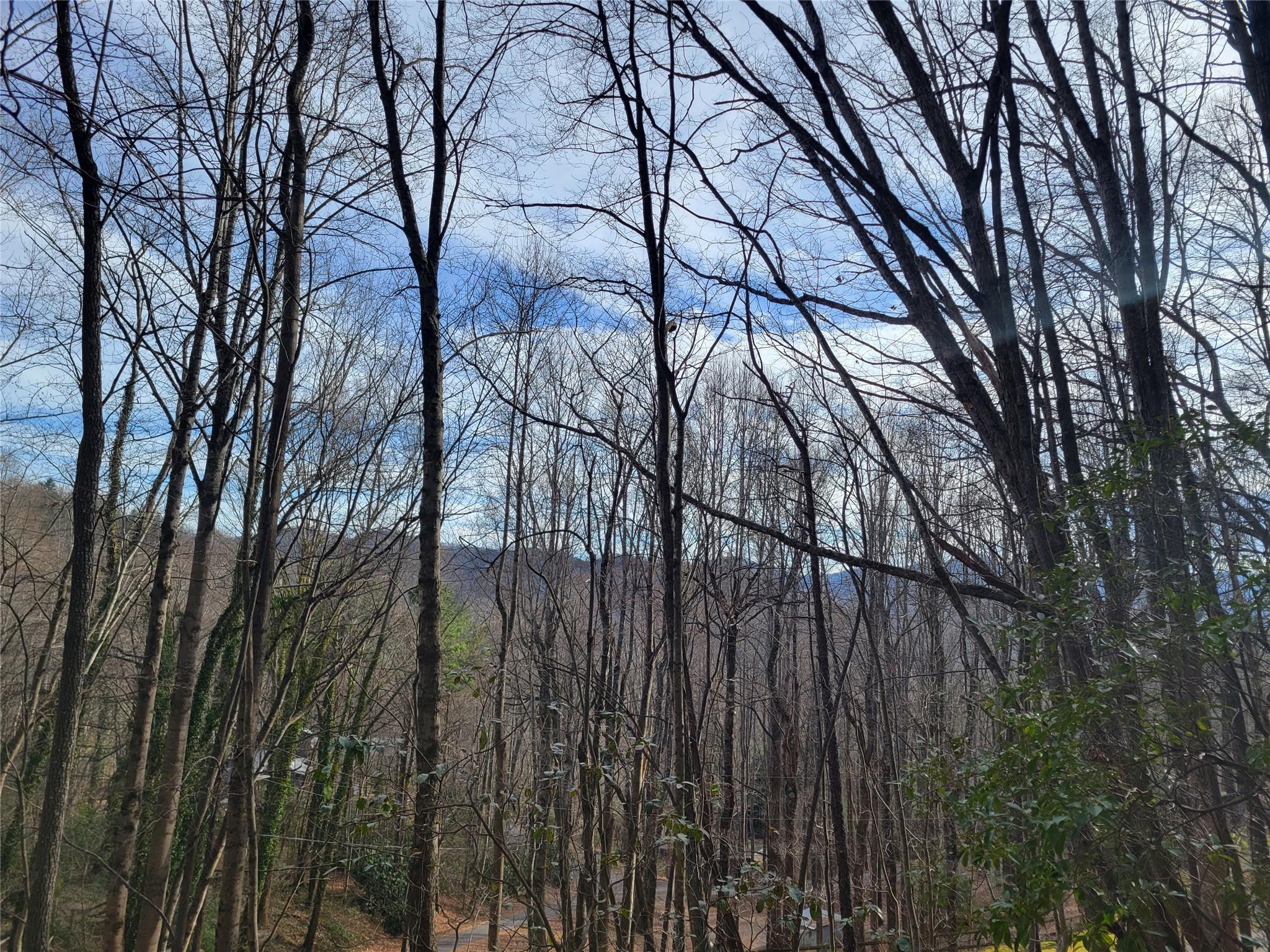 0 Lookout Ter Road Black Mountain, NC 28711 - Photo 33 of 36