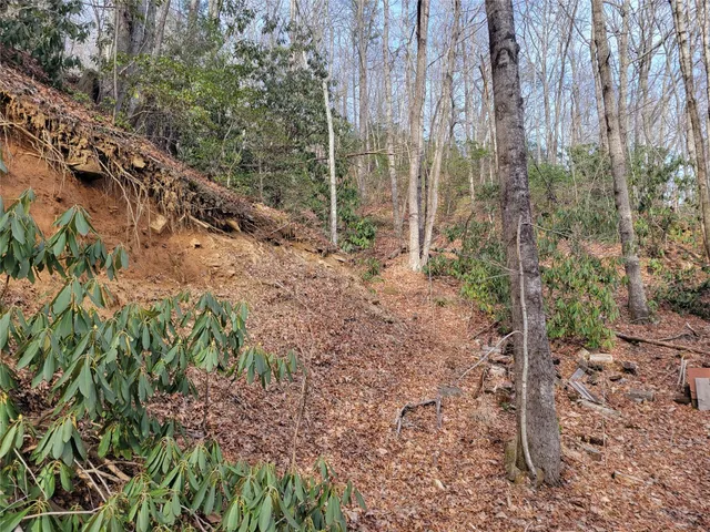 $300,000 | 0 Lookout Ter Road, Black Mountain, NC 28711