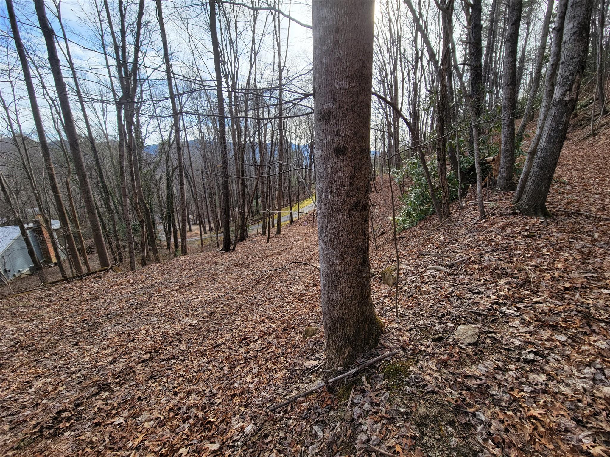 0 Lookout Ter Road Black Mountain, NC 28711 - Photo 35 of 36