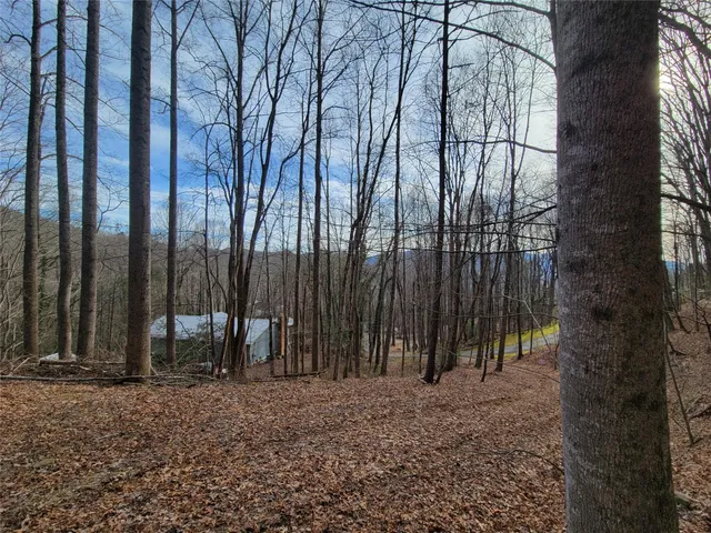 $300,000 | 0 Lookout Ter Road, Black Mountain, NC 28711