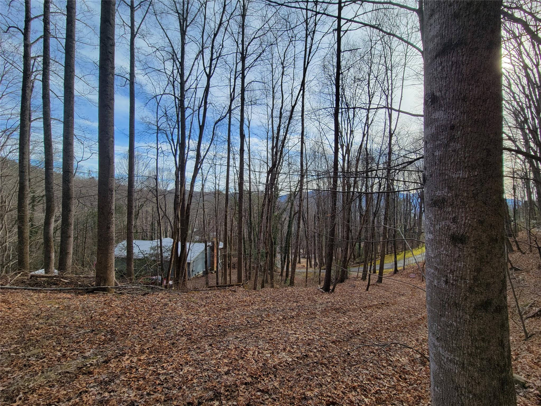 0 Lookout Ter Road Black Mountain, NC 28711 - Photo 36 of 36